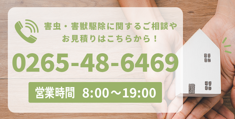 【電話番号】0265-48-6469【営業時間】8:00～19:00
